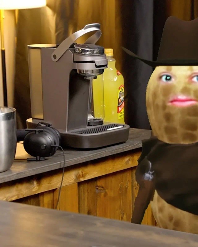 TheBurntPeanut